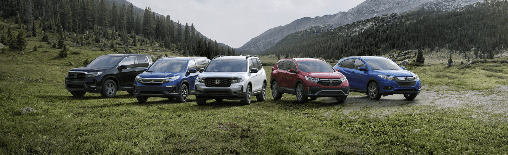 honda models in forest