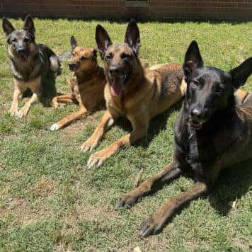 Azula, Andi, Oscar and Zuko