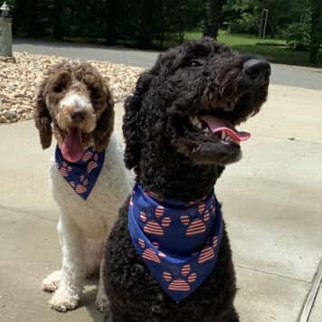 Ava & Ella