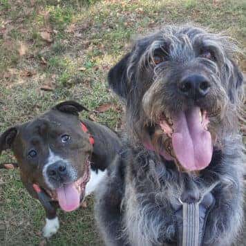 Atlas & Reaper