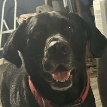 Max