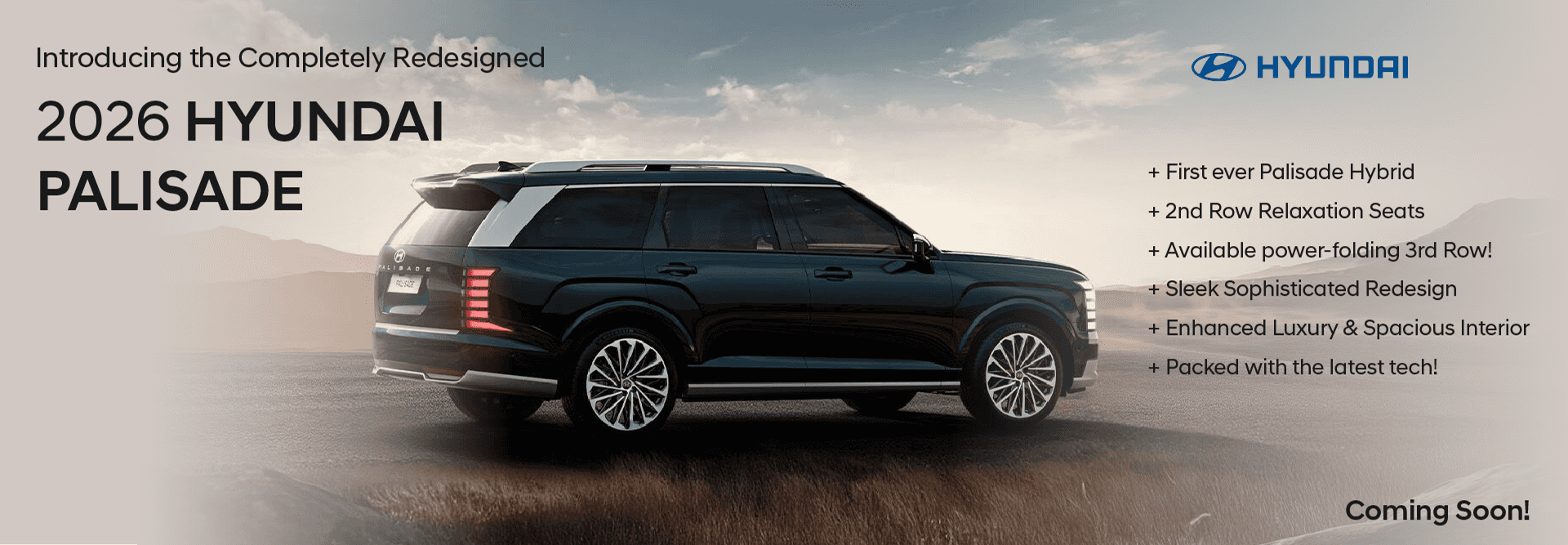 26 Hyundai Palisade
