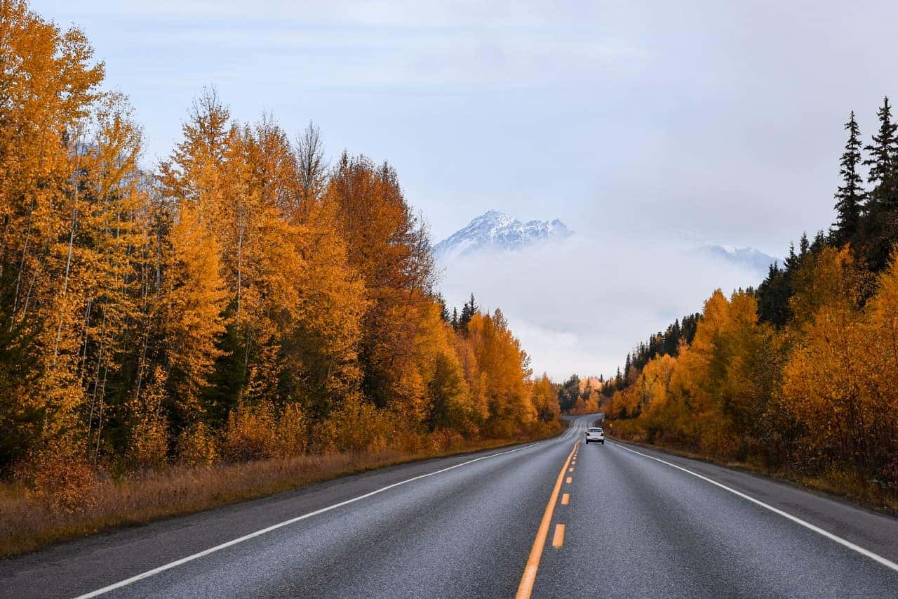 Autumn Driving