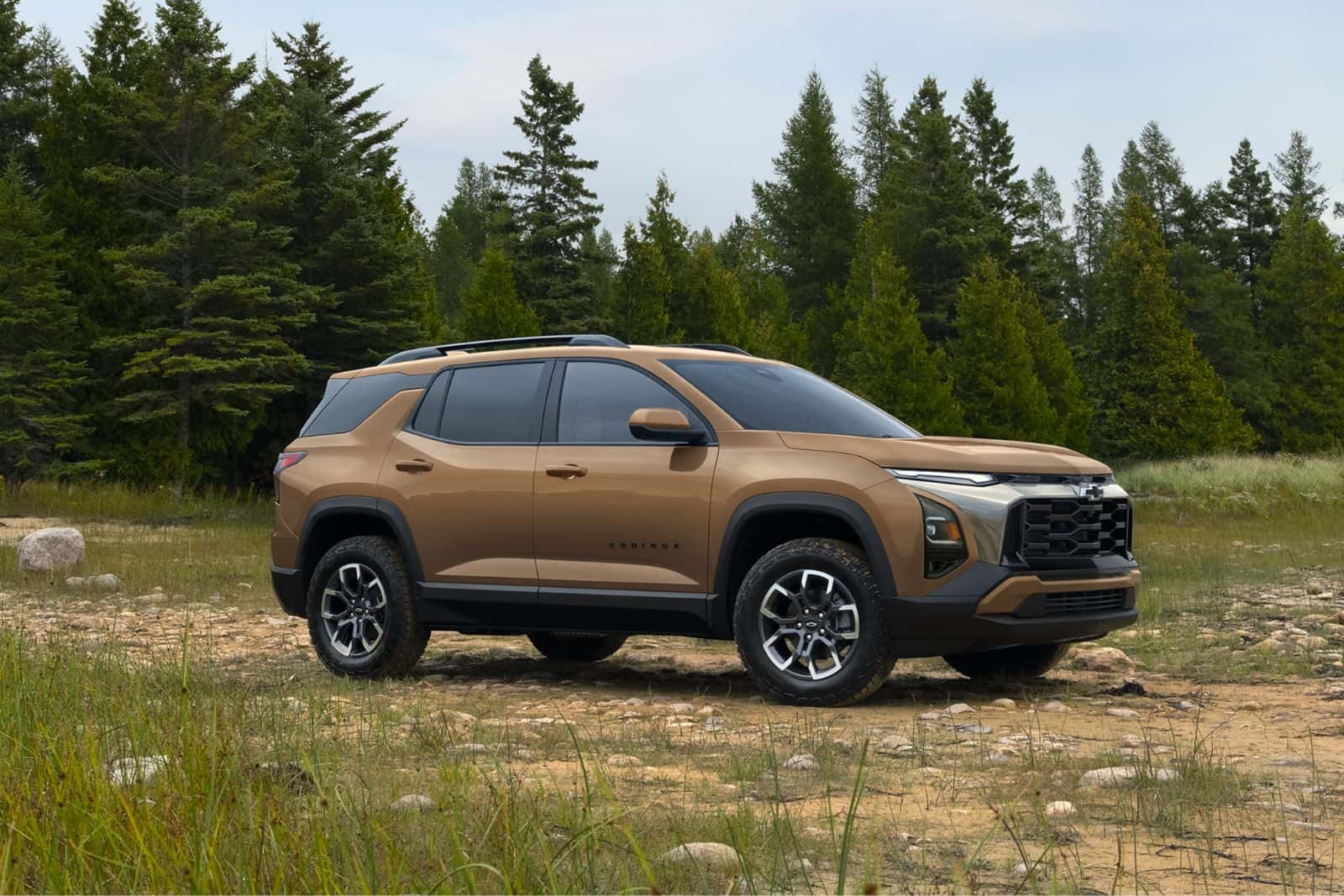 Tan Chevy Equinox ACTIV parked in a grassy clearing by pine trees