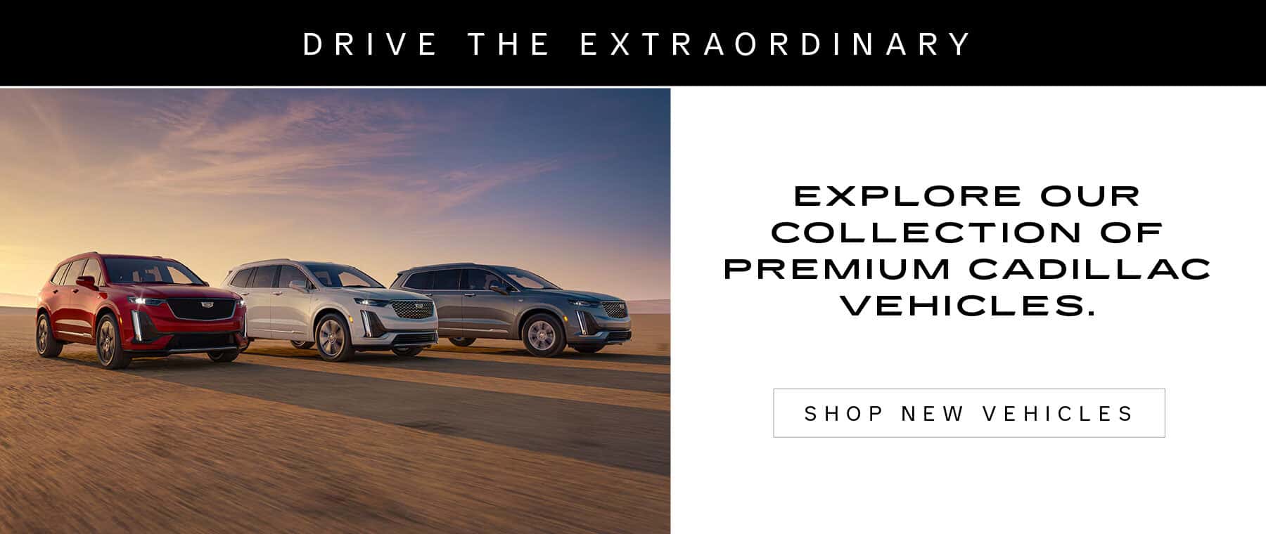 Shop New Vehicles