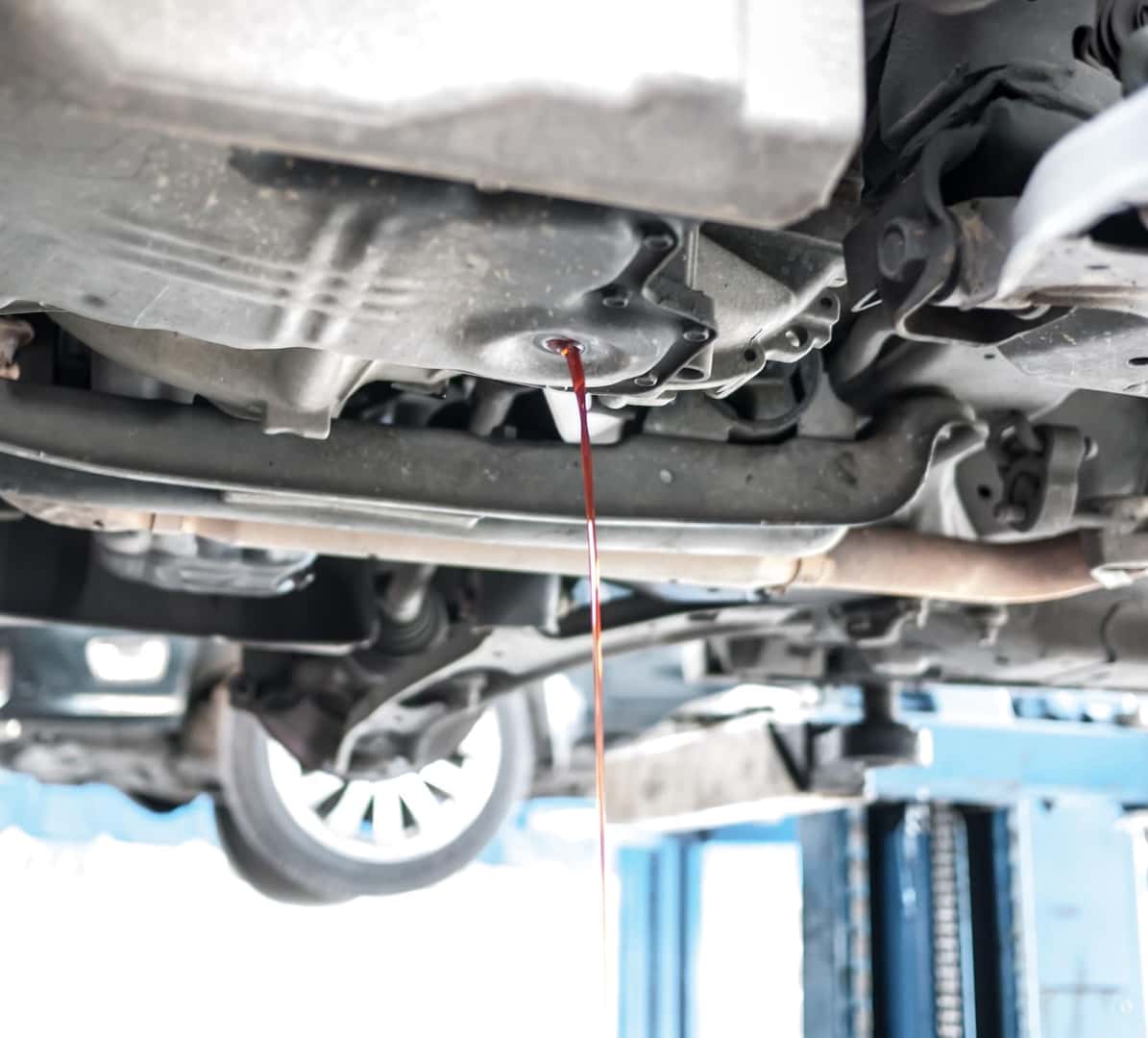 Transmission Fluid