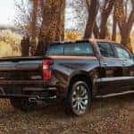 truck in the forest