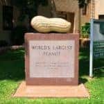 worlds largest peanut