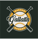 newton nissan sponsors the gallatin tn little league baseball team, logo pictured on black background with gold touches
