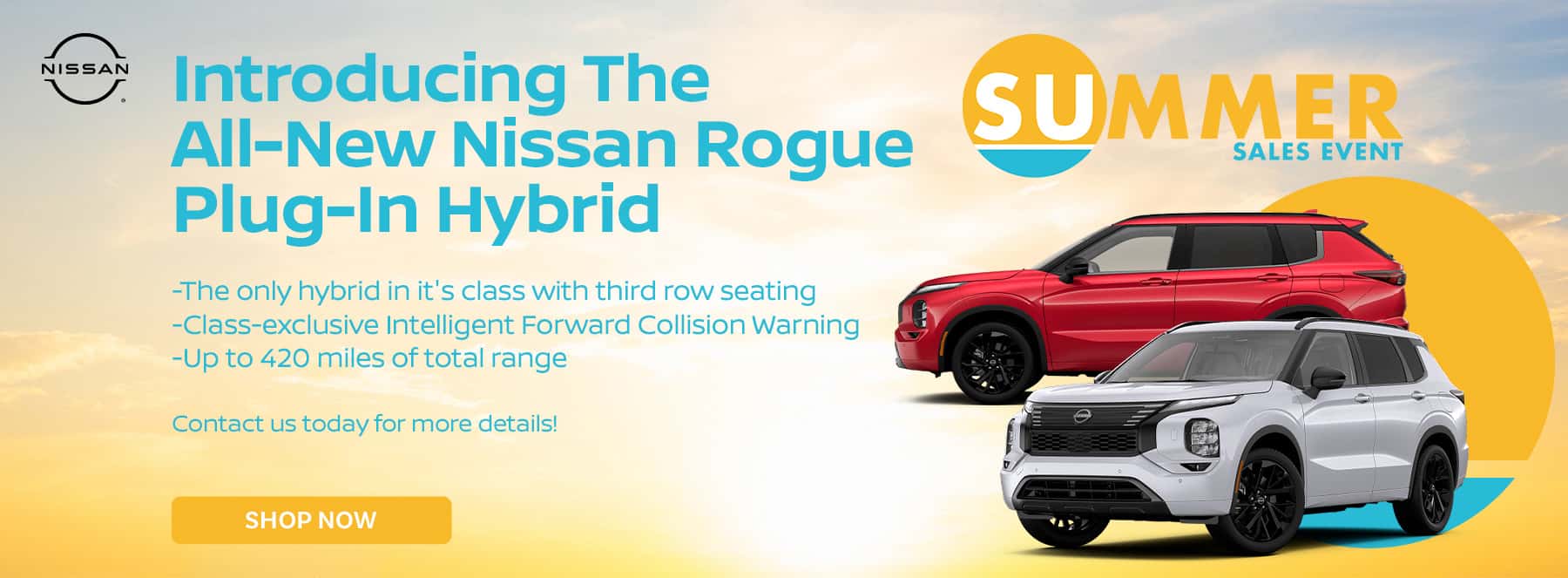 NSBCA-2606000-WS-1800×663-RogueHybrid