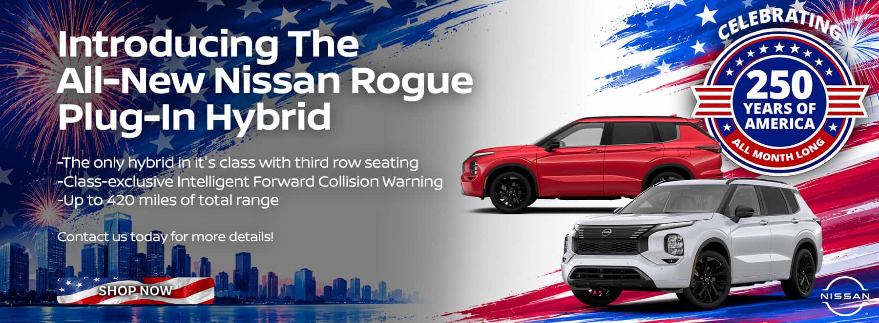 NSBCA-2607017-WS-1800×663-RogueHybrid