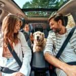 summer road trip