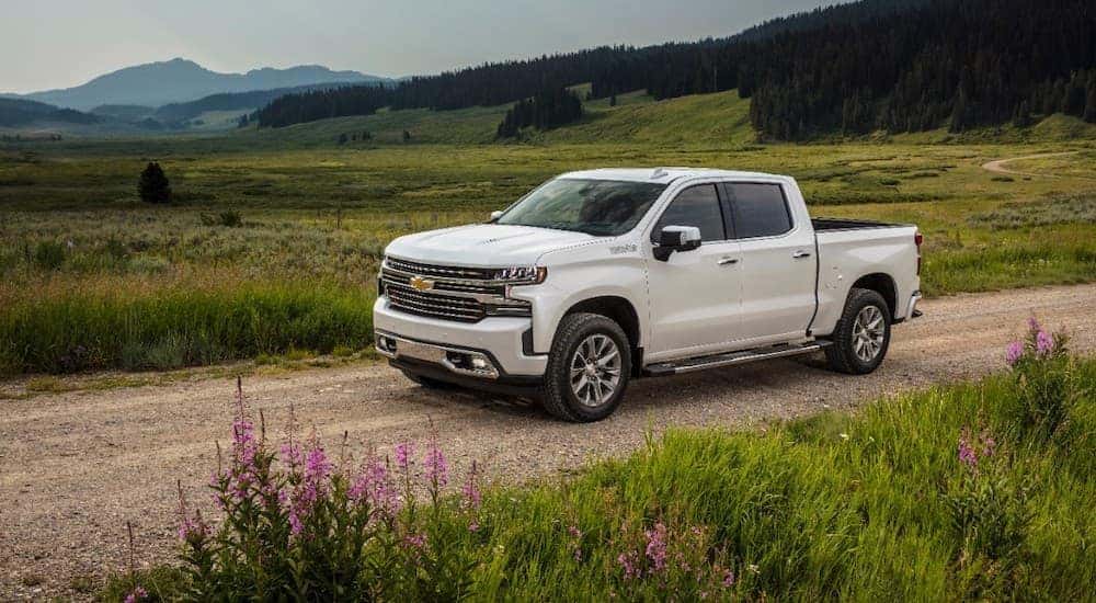 A white 2019 Chevy Silverado 1500 High Country is shown driving on a dirt road.