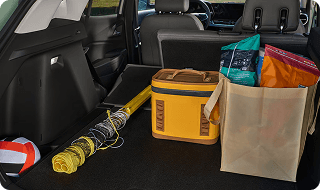 Comfort and Capability