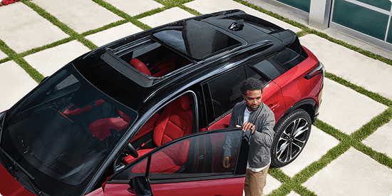 Distinctive from the top down
