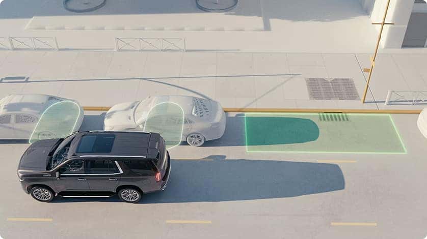 Enhanced Automatic Parking Assist*