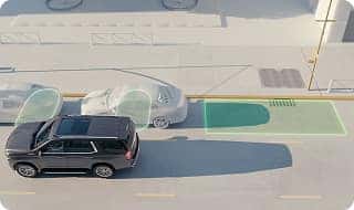 Enhanced Automatic Parking Assist*
