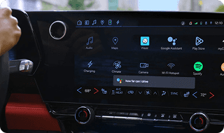 Google built-in*