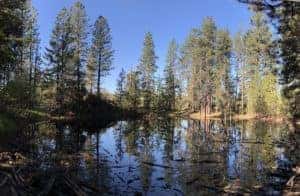 Dishman Hills Area