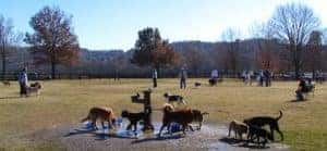 Spokanimal Dog Park