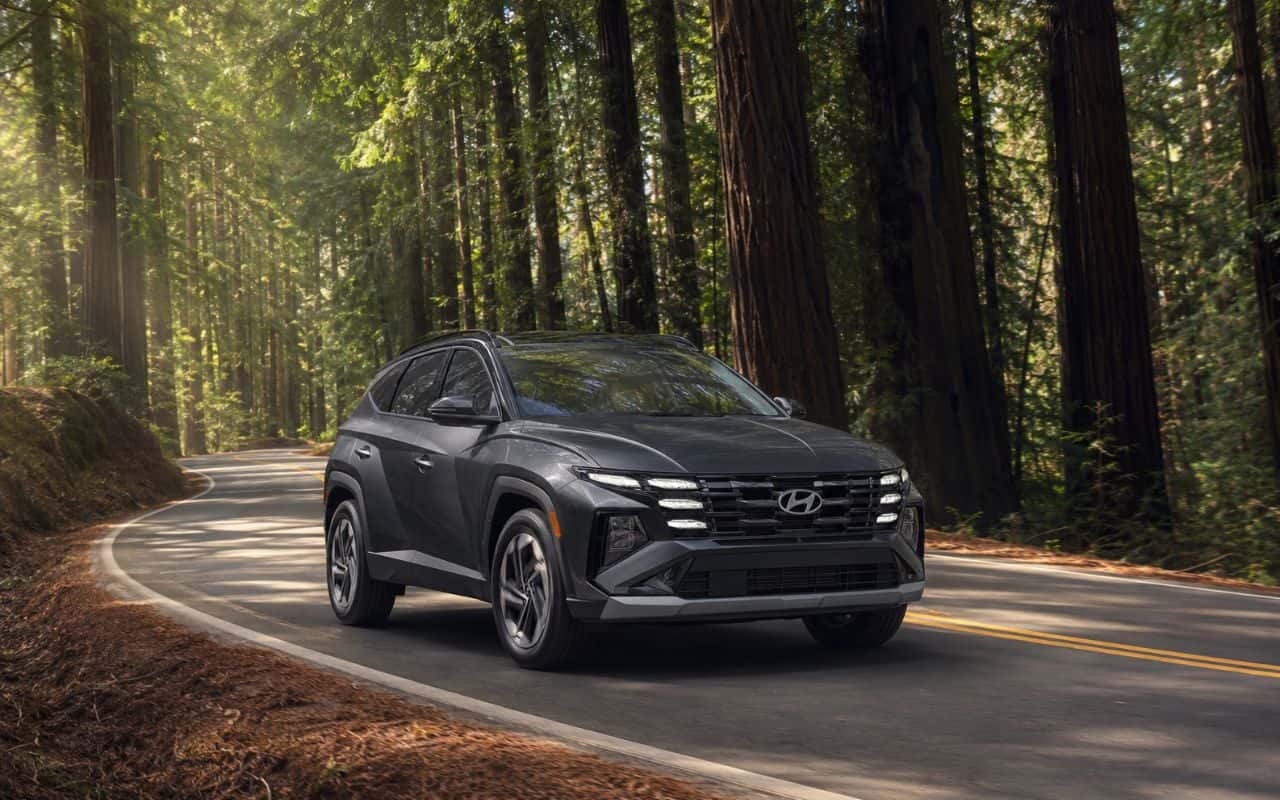2026 Hyundai Tucson driving on a scenic forest road