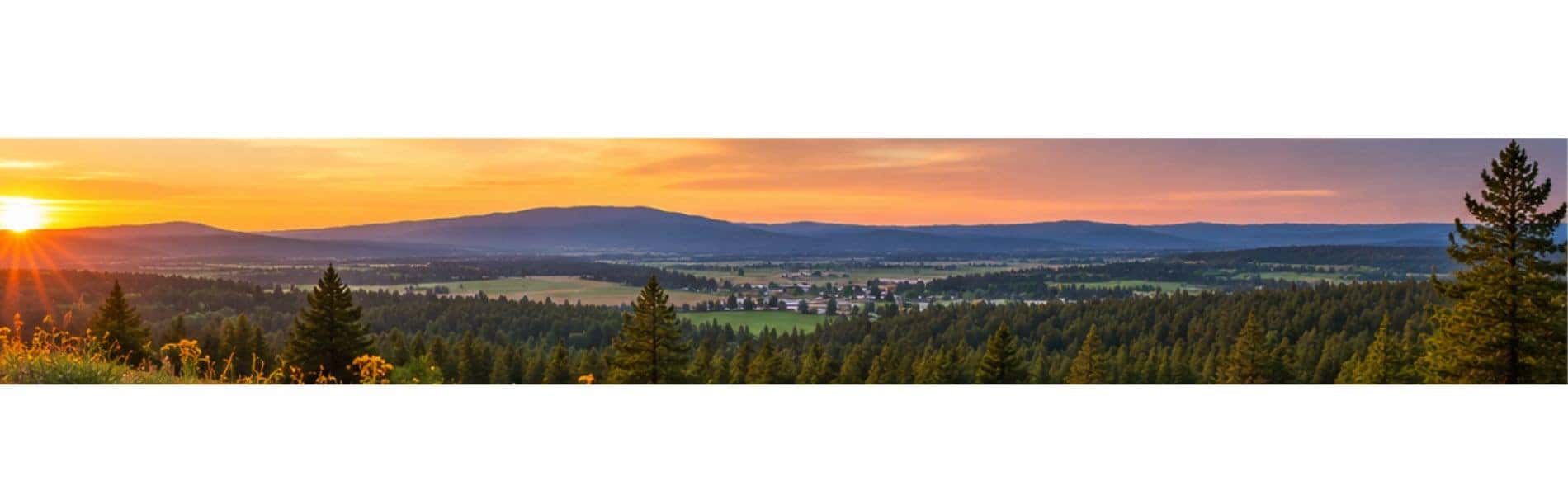 Rolling Palouse farmland and forest landscape near Cheney at golden hour