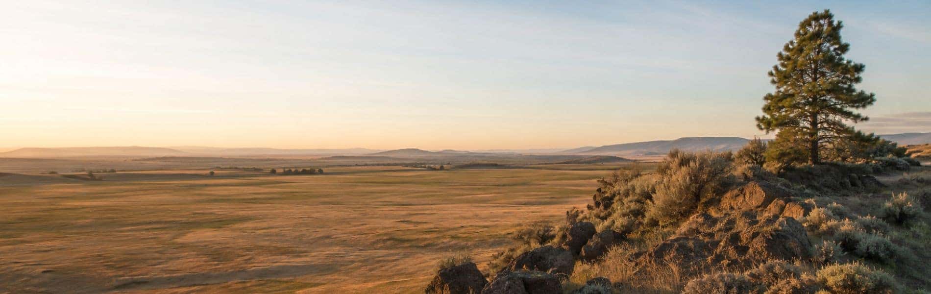 Airway Heights Washington landscape