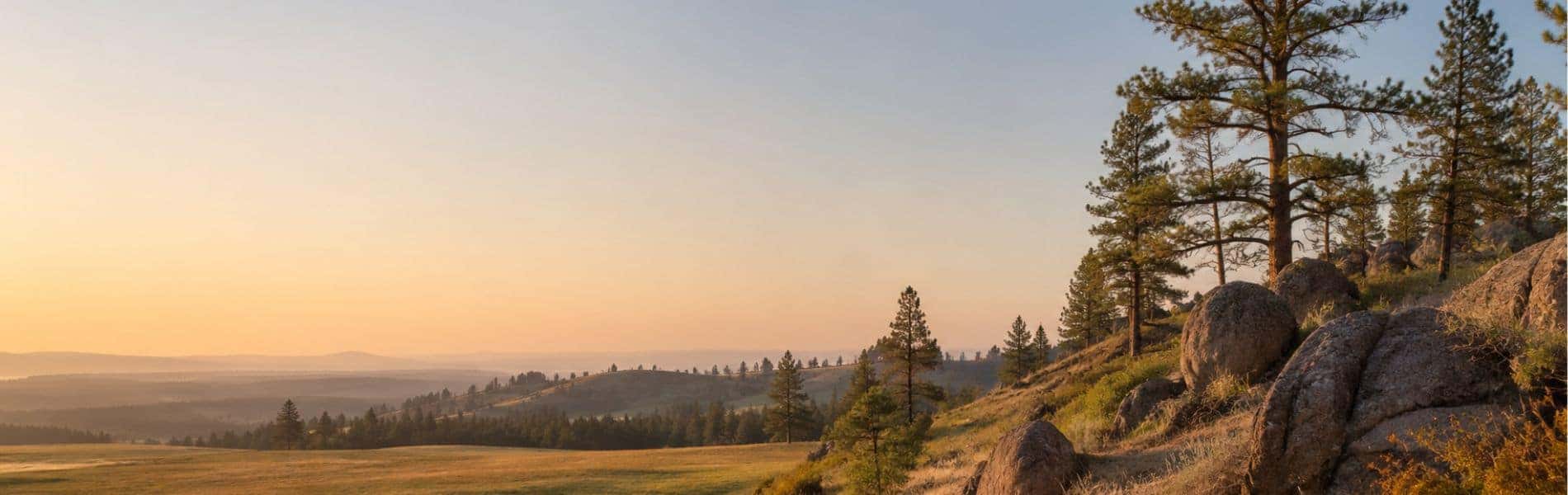 Mead Washington landscape