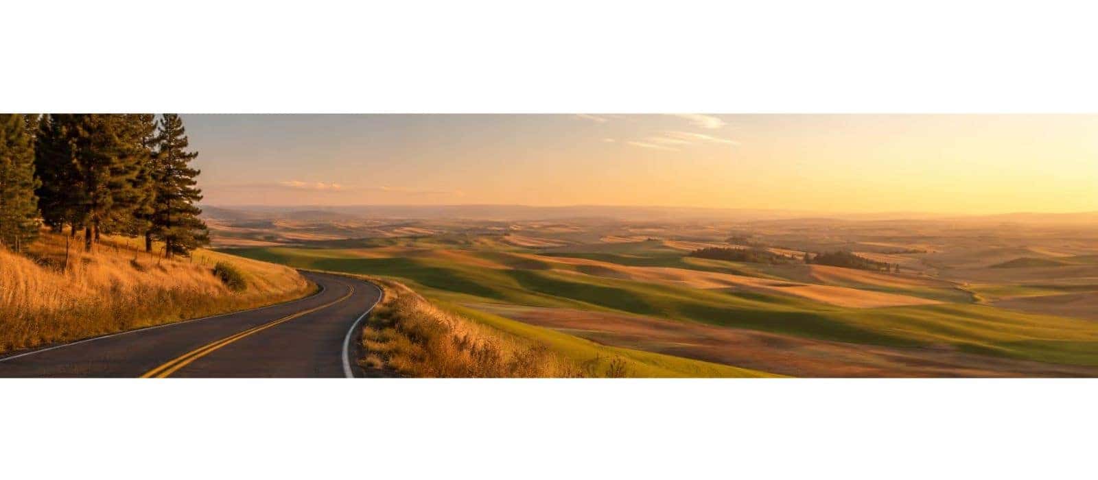 Scenic Palouse road near Pullman