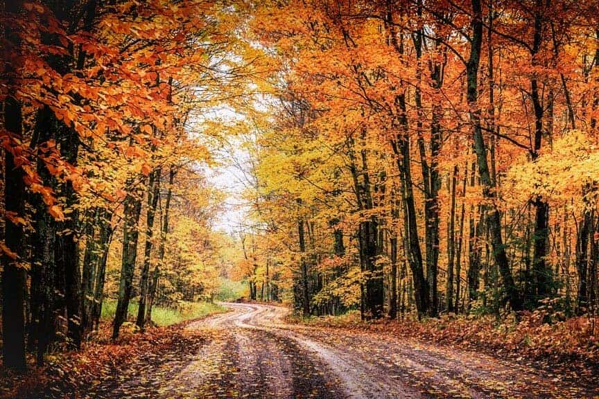 Pure Michigan in the Fall | Todd Wenzel Buick GMC of Davison