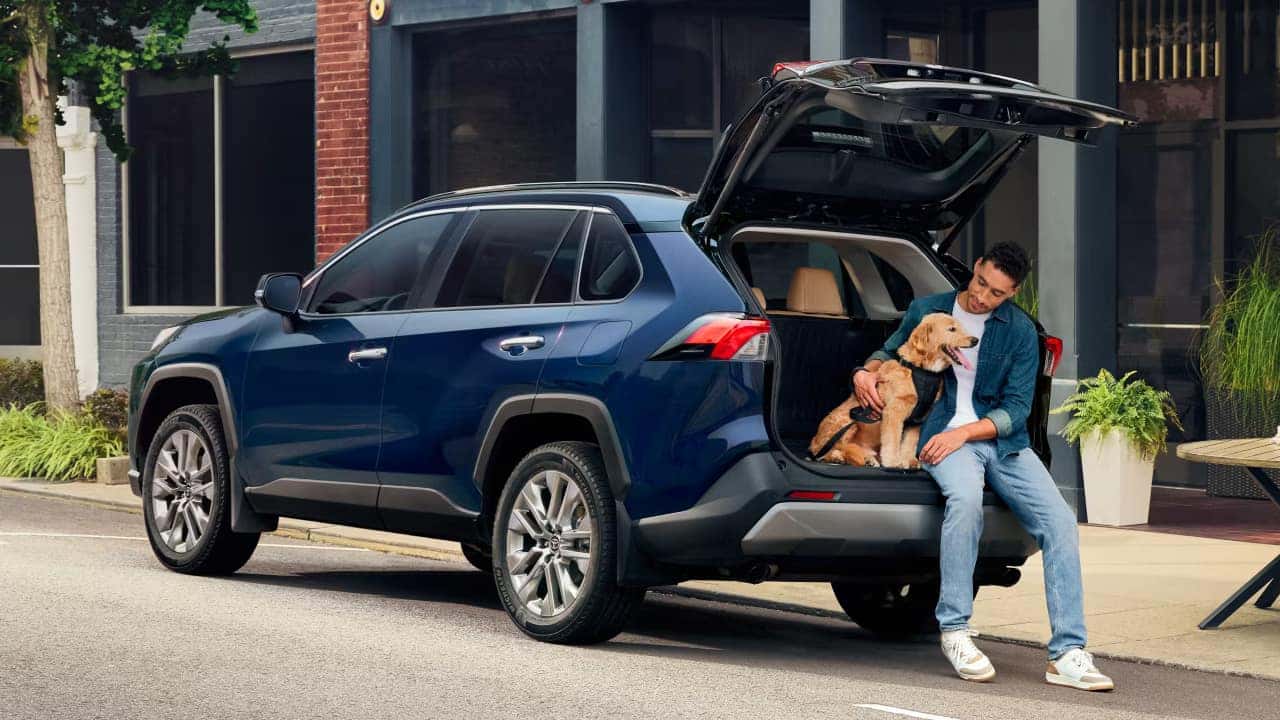 2025 Toyota RAV4 Features