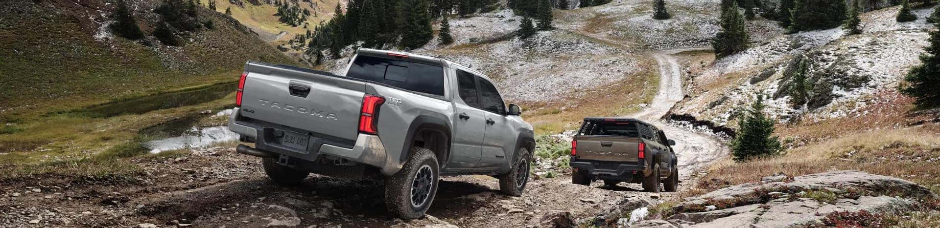 2025 Toyota Tacoma