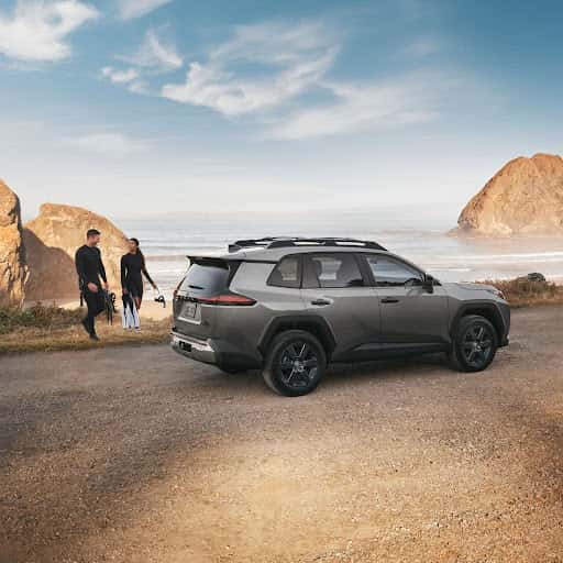 Toyota lumbar support
